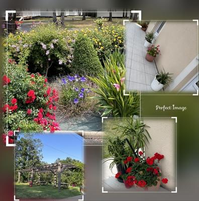 Camping les Petites Minaudières