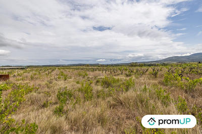 Terrain agricole - 34 500 m²