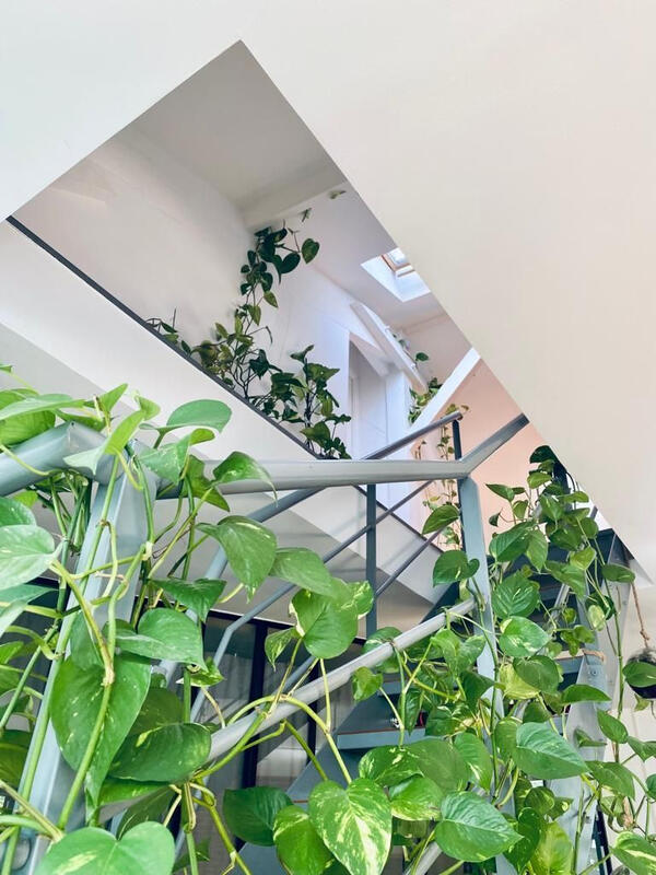 Maison - 220 m² - 9 pièces