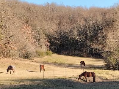 Tournon autour du Cheval