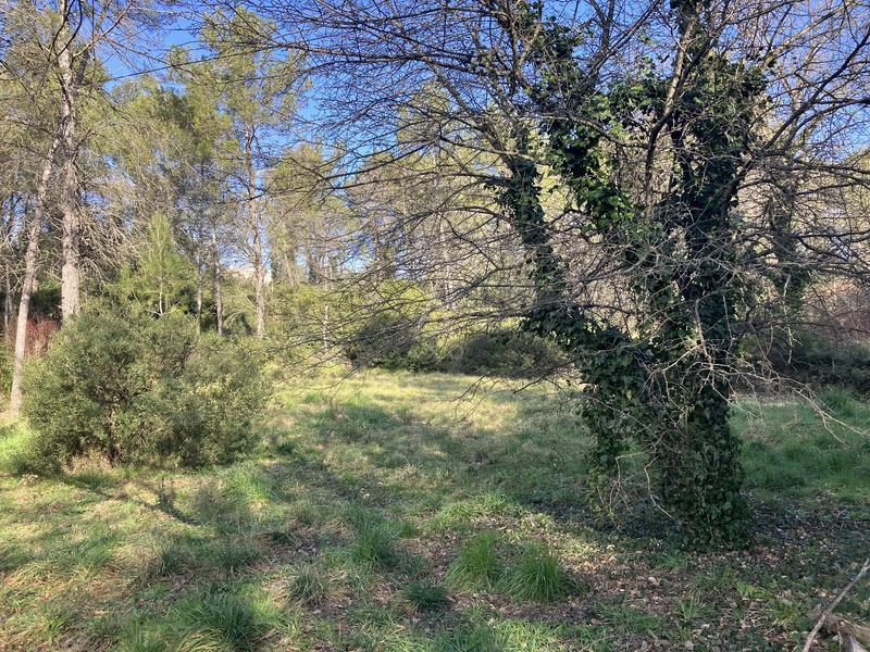 Terrain constructible - 11 000 m²