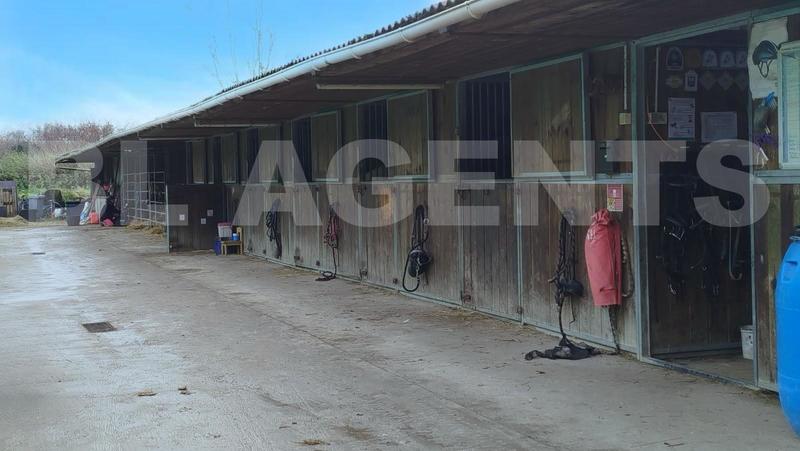 Maison de domaine équestre - 110 m² - 5 pièces