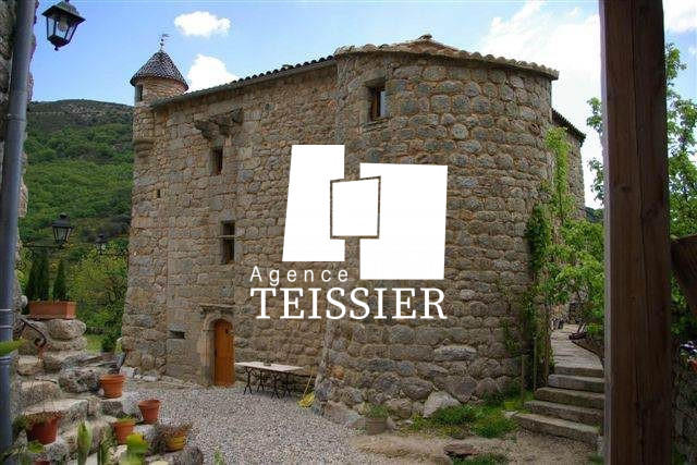 Château - 400 m² - 12 pièces