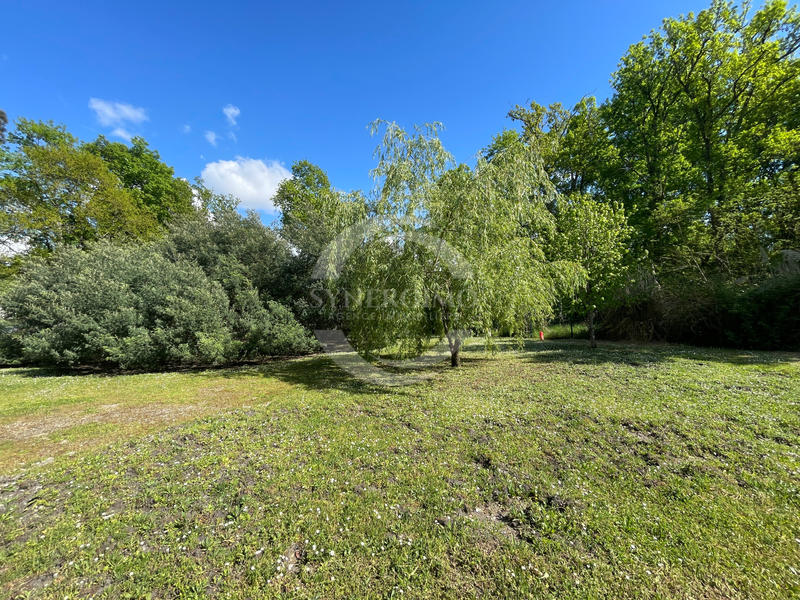 Appartement - 53 m² - 2 pièces