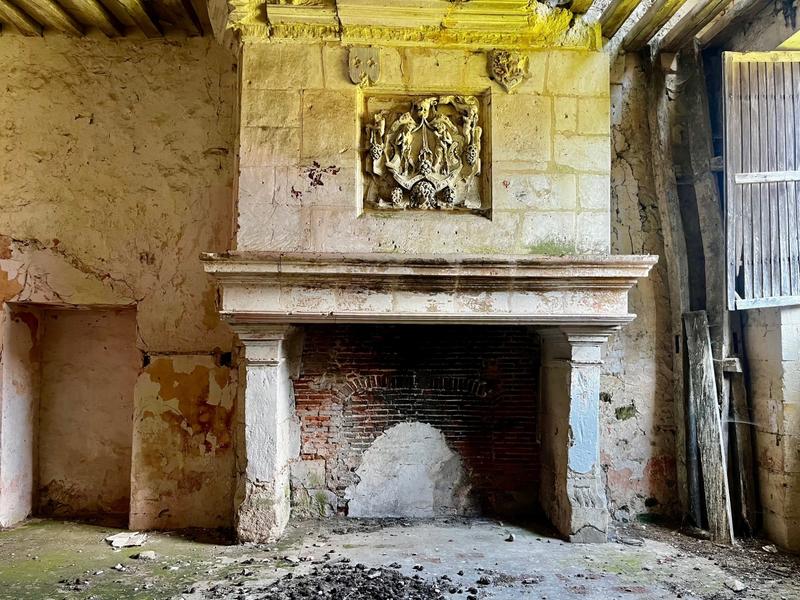 Château - 500 m² - 10 pièces