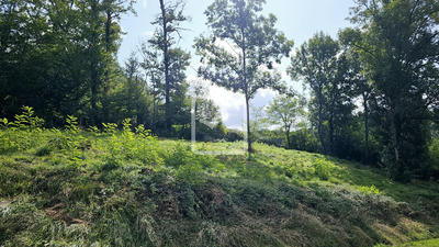 Appartement - 1 219 m²