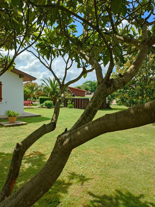 Maison contemporaine - 104 m² - 5 pièces