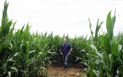 Les Jardins du Courot