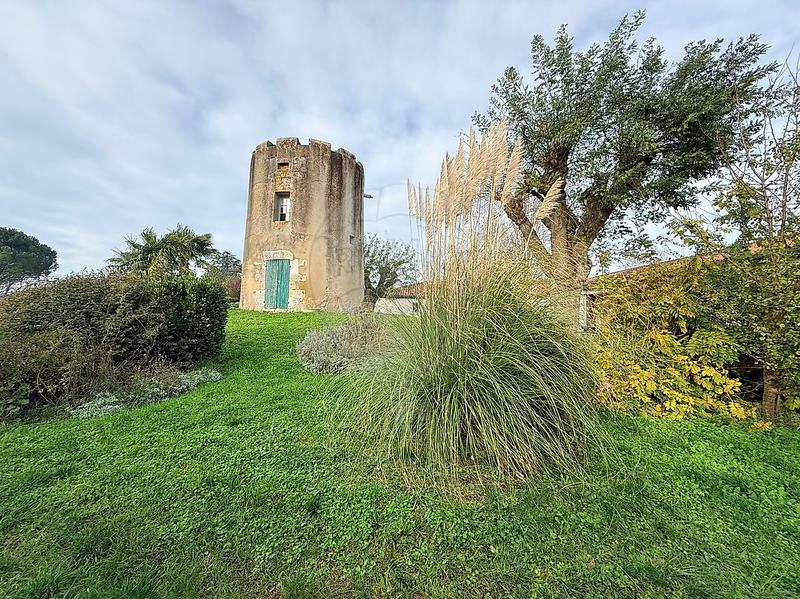 Immeuble - 868 m² - 15 pièces