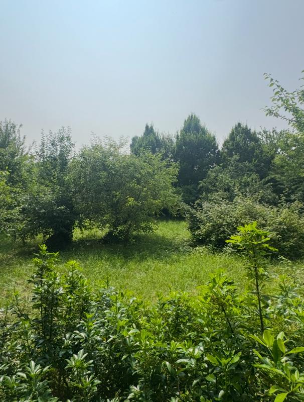 Terrain constructible - 703 m²