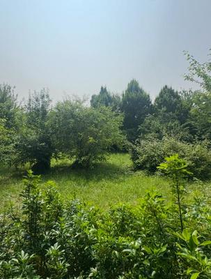 Terrain constructible - 703 m²