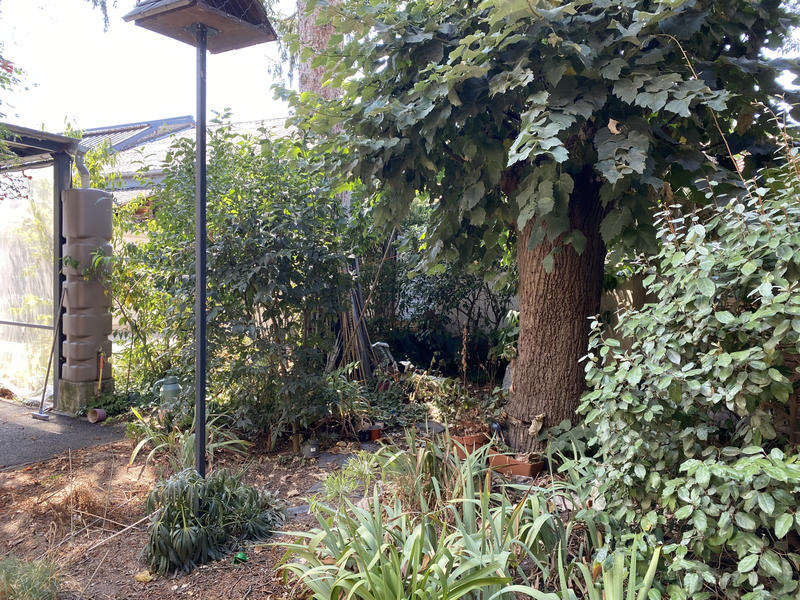 Maison - 119 m² - 8 pièces