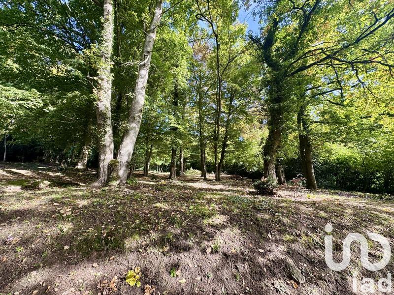 Maison de maîtres - 220 m² - 9 pièces