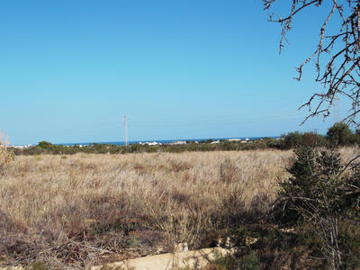 Terrain - 16 000 m²