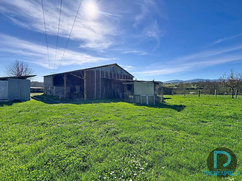 Maison ancienne - 160 m² - 6 pièces