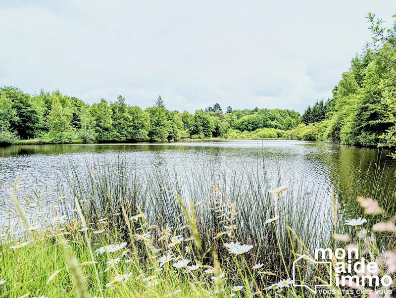 Terrain de loisirs - 30 000 m²