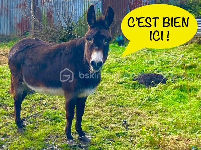 Maison - 94 m² - 6 pièces