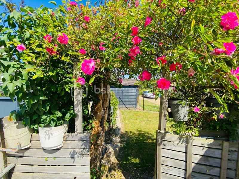 Maison ancienne - 135 m² - 7 pièces