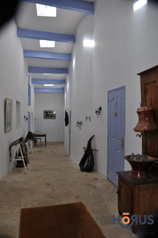 Viager - Maison - 400 m² - 14 pièces