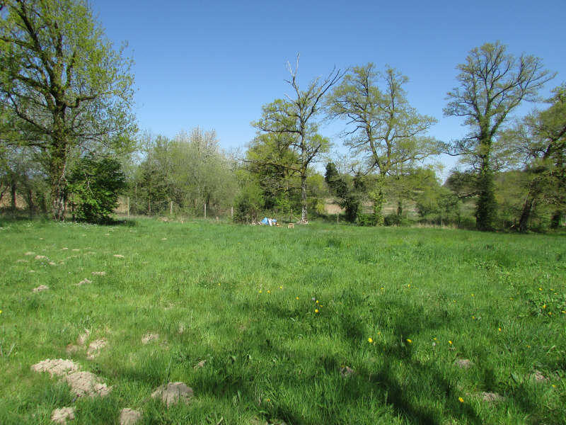 Maison - 450 m² - 10 pièces