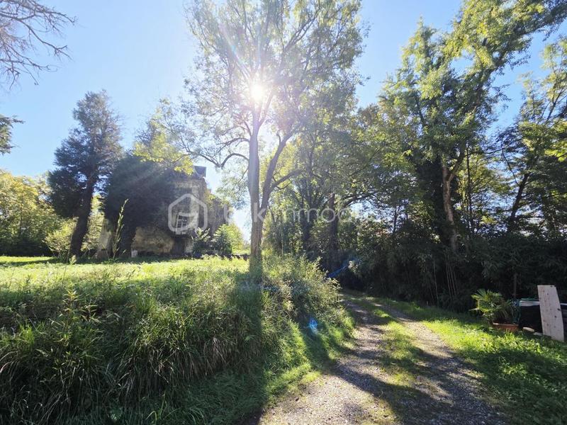 Immeuble - 1 500 m² - 37 pièces