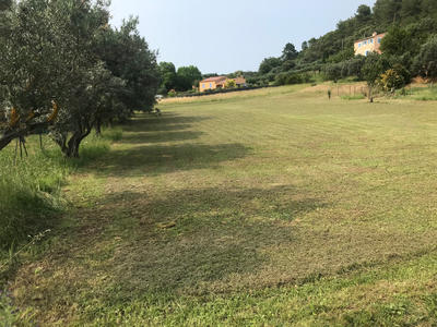 Terrain - 1 250 m²