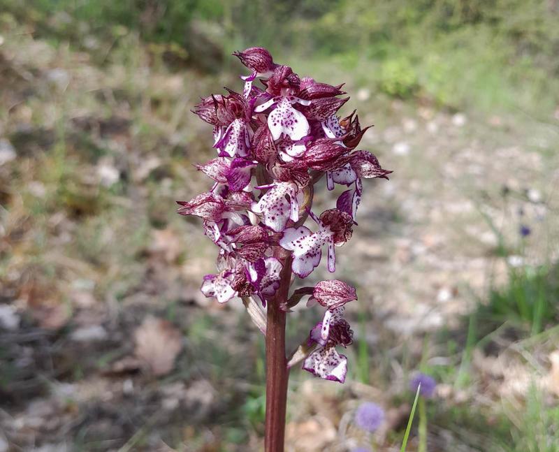 Le sentier des 5 sens au Domaine les Hauts de Riquets balade gourmande