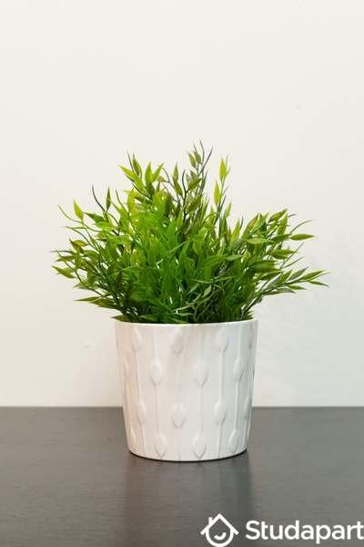 Appartement - 29 m² - 1 pièce