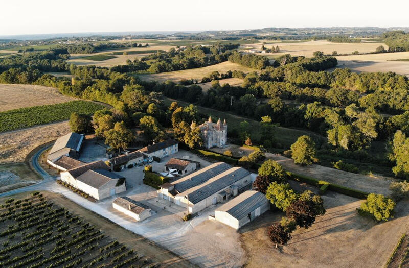 Châteaux en fête - Visite du vignoble à 14h