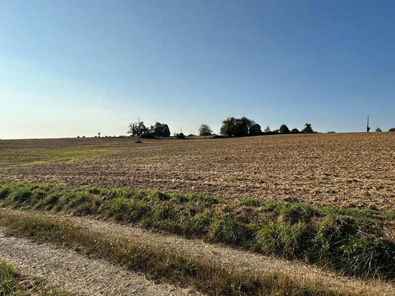 Corps de ferme - 1 600 m² - 1 pièce