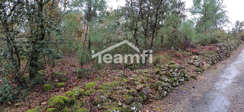 Terrain agricole - 14 279 m²