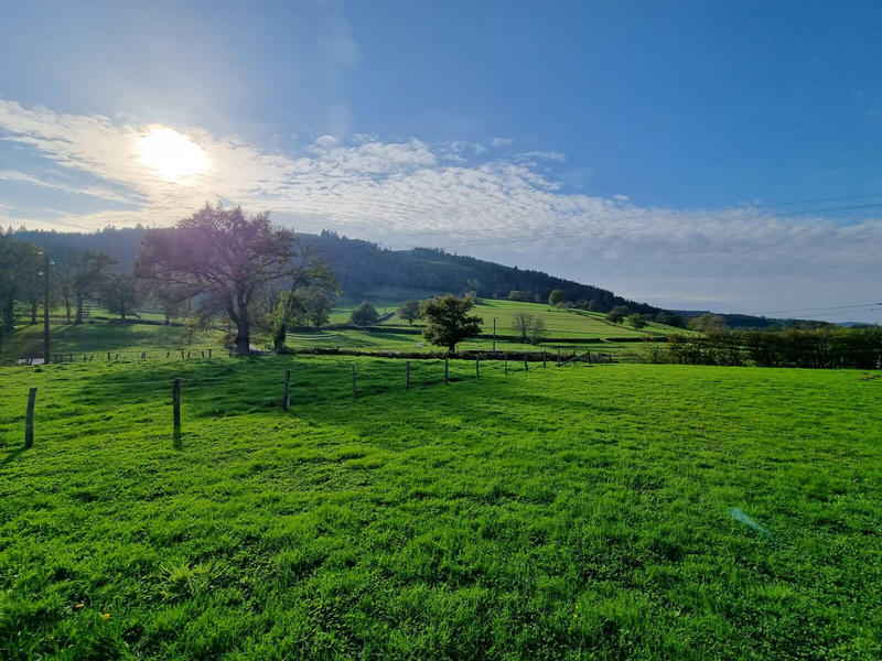 Maison - 232 m² - 8 pièces