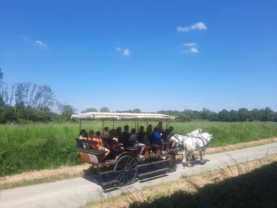 Fête au coeur des prairies du Fouzon à Couffy