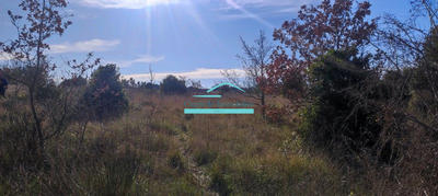 Terrain agricole - 21 172 m²