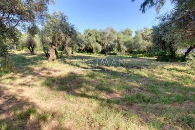 Terrain constructible - 2 000 m²