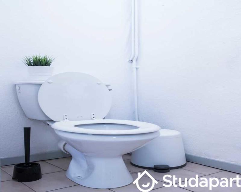 Chambre - 30 m² - 1 pièce