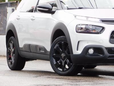 Citroën C4 Cactus Bluehdi 100ch s&amp;S Shine Business E6.D-Temp