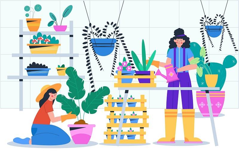 Terre en vert : Troc de plantes