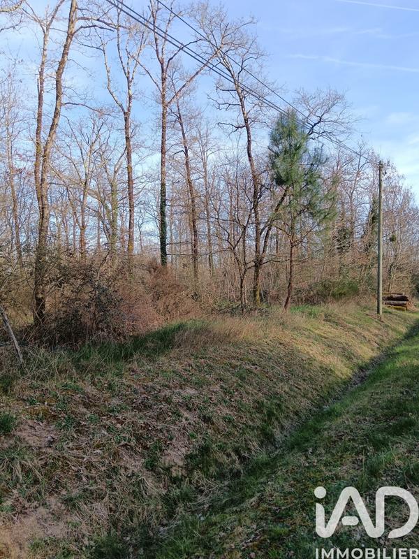 Terrain - 24 045 m²