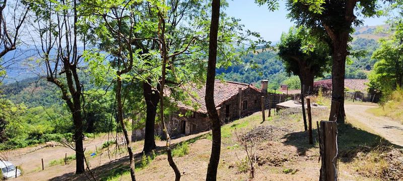 Mas - 480 m² - 10 pièces