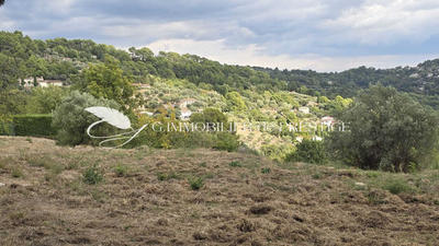 Terrain - 8 654 m²