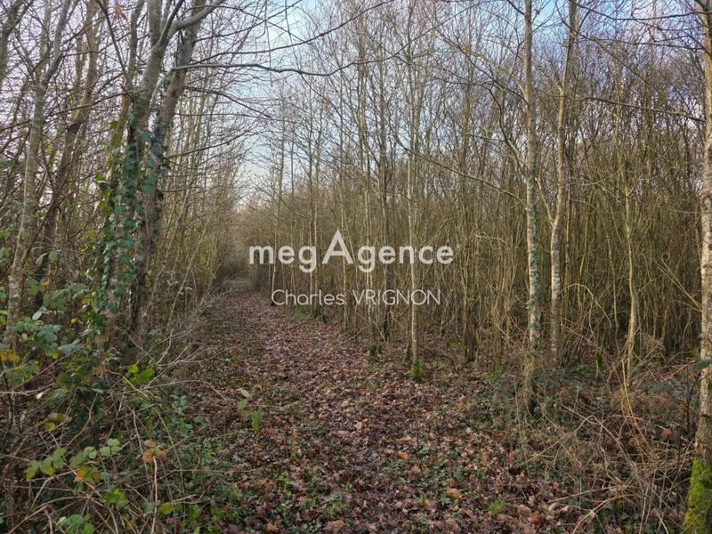 Maison - 245 m² - 8 pièces