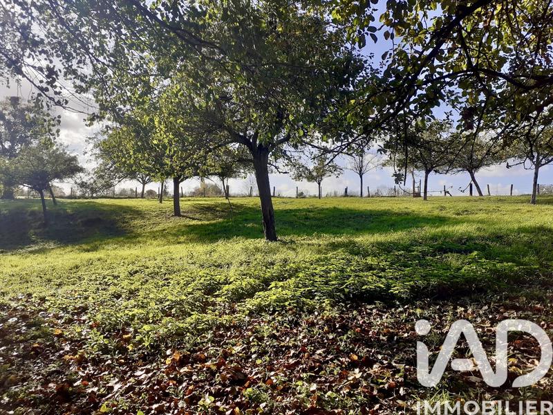 Maison de campagne - 150 m² - 6 pièces