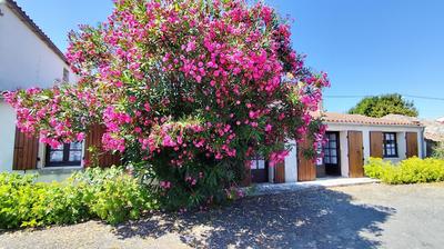 Maison - 100 m² - 3 pièces