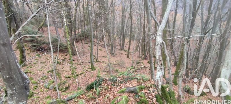 Terrain - 61 700 m²