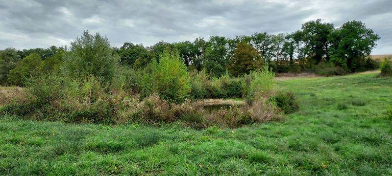 Terrain de loisirs - 1 800 m²