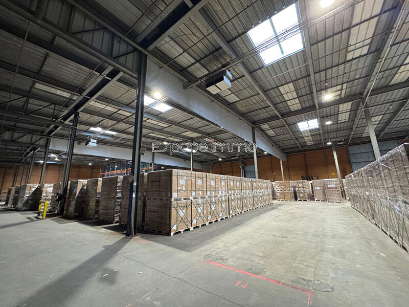 Local d'activité / Entrepôt - 9 000 m²