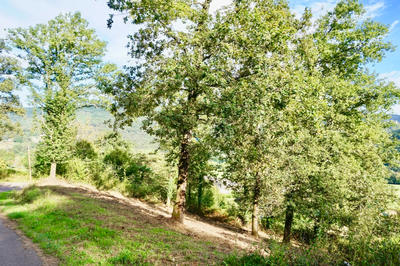 Terrain - 1 200 m²