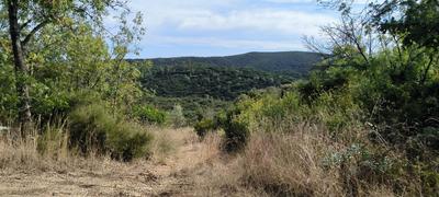 Terrain - 38 170 m²