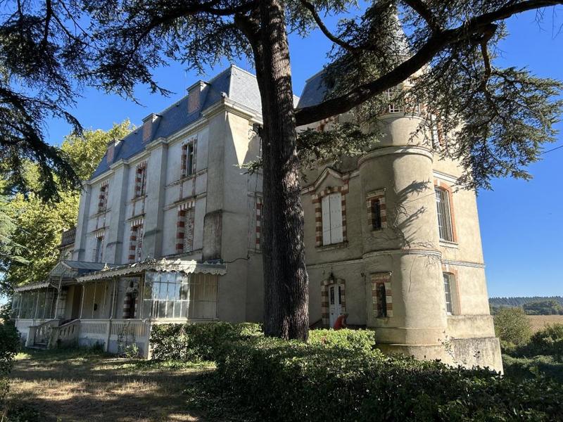 Château - 1 000 m² - 10 pièces